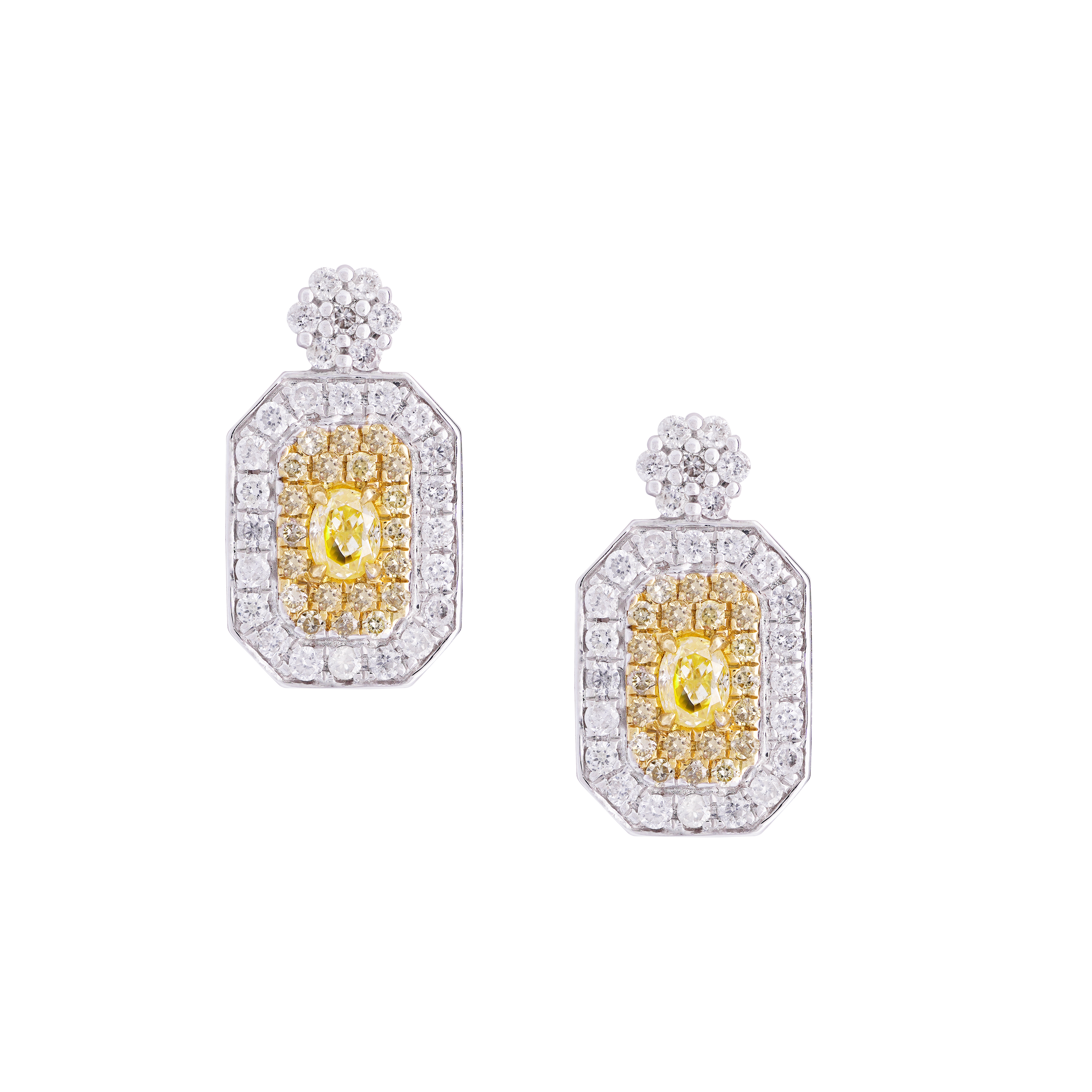 Arusha Fancy Diamond Earrings